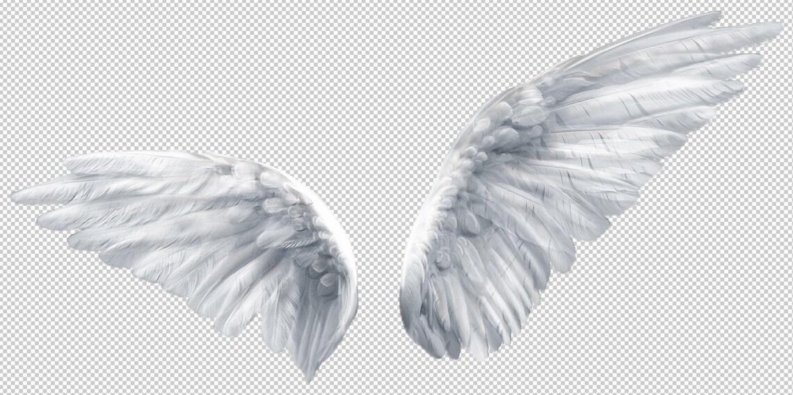 Angel Wings Overlay for Photoshop, Instant Download, White Fairy Wings