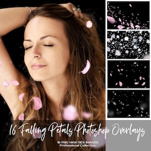 21 PNG Falling Pink White Petals Photoshop Overlays, Wedding, Spring, Romantic, Magic, Rose petals, Blossom, High Res, Instant Download