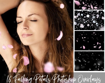 21 PNG Falling Pink White Petals Photoshop Overlays, Wedding, Spring, Romantic, Magic, Rose petals, Blossom, High Res, Instant Download