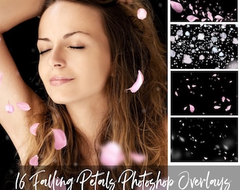 21 PNG Falling Pink White Petals Photoshop Overlays, Wedding, Spring, Romantic, Magic, Rose petals, Blossom, High Res, Instant Download