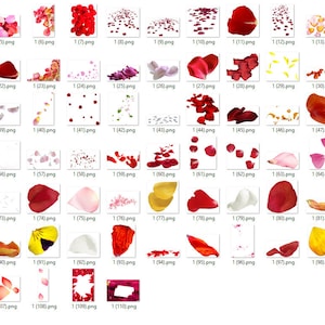 Rose Petal Photoshop Overlays, Red rose petals, Valentine&#39;s Day, , Wedding overlays, Photography Overlays, Clipart Clip Art PNG Graphics #2