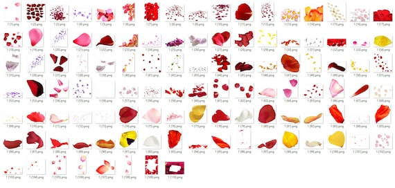 Rose Petal Photoshop Overlays, Red rose petals, Valentine's Day, , Wedding overlays, Photography Overlays, Clipart Clip Art PNG Graphics #2