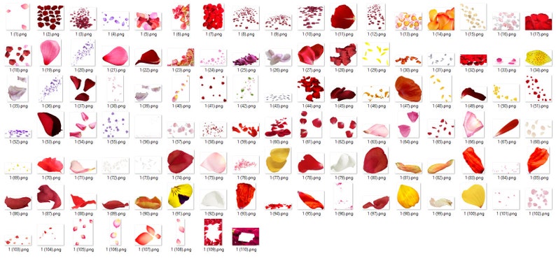 Rosenblad Photoshop-överlägg, röda rosenblad, alla hjärtans dag, bröllopsöverlägg, fotografiöverlägg, clipart clipart PNG-grafik #2 bild 1