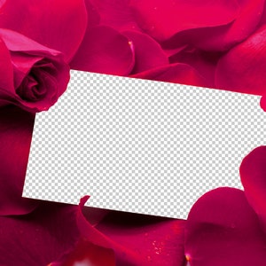 Rosenblad Photoshop-överlägg, röda rosenblad, alla hjärtans dag, bröllopsöverlägg, fotografiöverlägg, clipart clipart PNG-grafik #2 bild 4