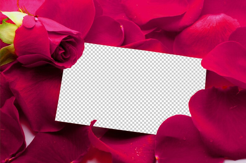 Rosenblad Photoshop-överlägg, röda rosenblad, alla hjärtans dag, bröllopsöverlägg, fotografiöverlägg, clipart clipart PNG-grafik #2 bild 4