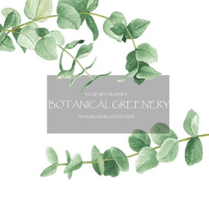 May include: Watercolor illustration of eucalyptus leaves in shades of green. The image is part of a collection of 8 clip art graphics called "Botanical Greenery Watercolor Collection".