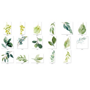 Op de afbeelding: Een set van 16 aquarel illustraties van verschillende groene bladeren en takken. De illustraties zijn perfect om een vleugje natuur aan je ontwerpen toe te voegen.