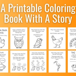 The Little Book of Birds Coloring Story Pages Printable Homeschool Classroom Digital Download