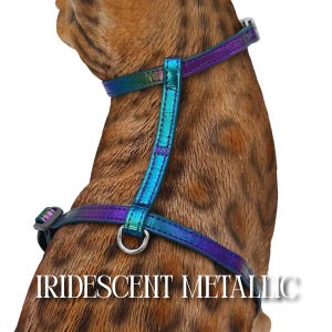 Może przedstawiać: Iridescentny metaliczny uprząż dla zwierząt domowych w odcieniach niebieskiego, fioletowego i zielonego. Uprząż posiada pierścień D do mocowania smyczy i regulowane paski. Tekst "IRIDESCENT METALLIC" jest wyświetlany na dole obrazu.