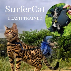Leash Trainer for Cats & Kittens