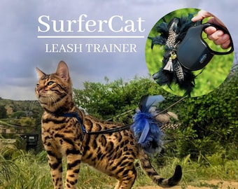 Leash Trainer for Cats & Kittens