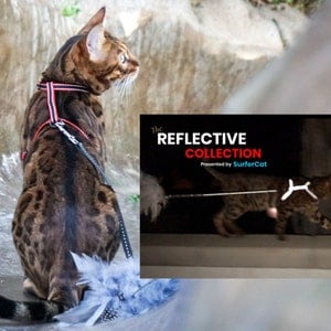 Reflective Escape Proof Cat Harness
