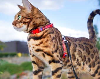 Escape Proof Cat Harness Dapper Collection