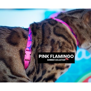 Peut inclure: Un chat tabby brun portant un harnais pour chat rose et bleu avec un motif de flamant rose et le texte "PINK FLAMINGO SUMMER COLLECTION".