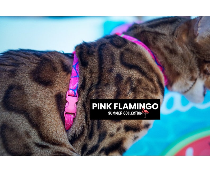Peut inclure: Un chat tabby brun portant un harnais pour chat rose et bleu avec un motif de flamant rose et le texte "PINK FLAMINGO SUMMER COLLECTION".
