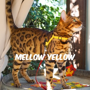 Harness Escape Proof Mellow Yellow