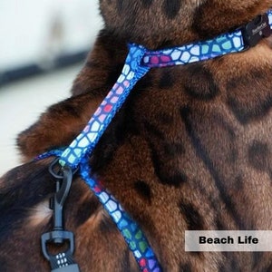 BEACH LIFE Harness(Escape Proof)