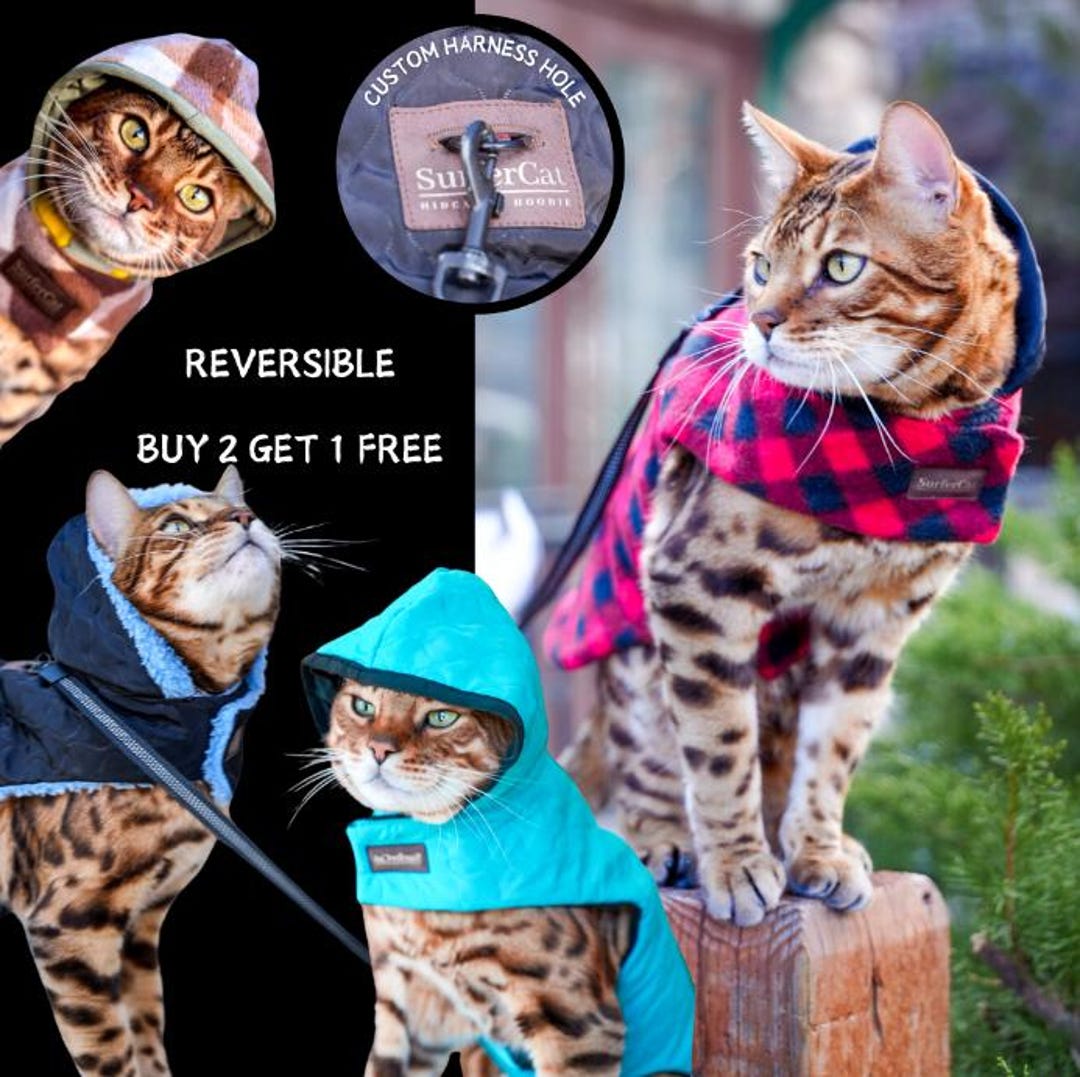 Cat Jacket Hideaway Hoodie Coat - Etsy