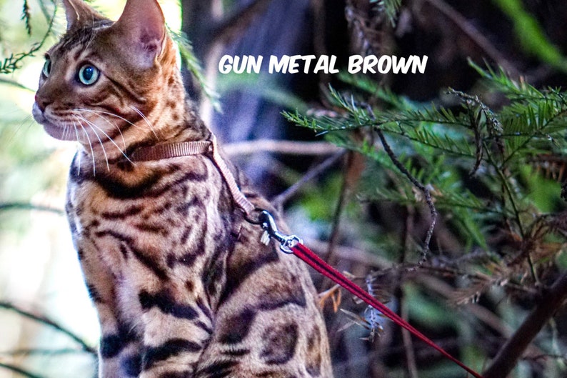Harness Escape Proof Gun Metal Brown