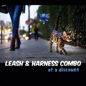May include: A brown tabby cat wearing a blue harness and leash is being walked down a sidewalk by a person wearing blue jeans. The text "LEASH & HARNESS COMBO at a discount" is at the bottom of the image.