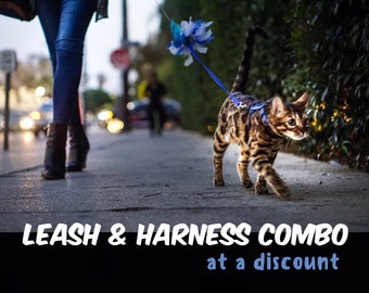 Harness & Leash set at a discount