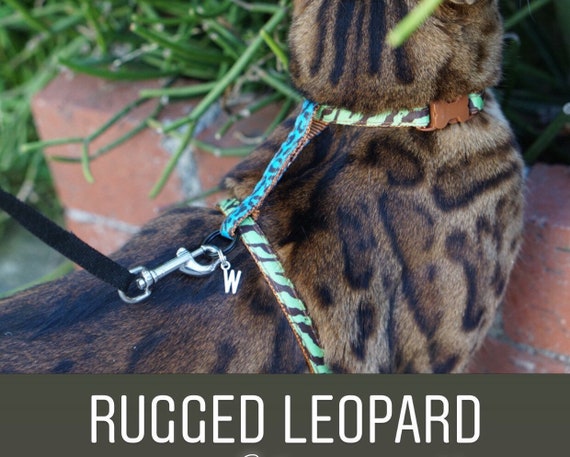 extra large cat harness