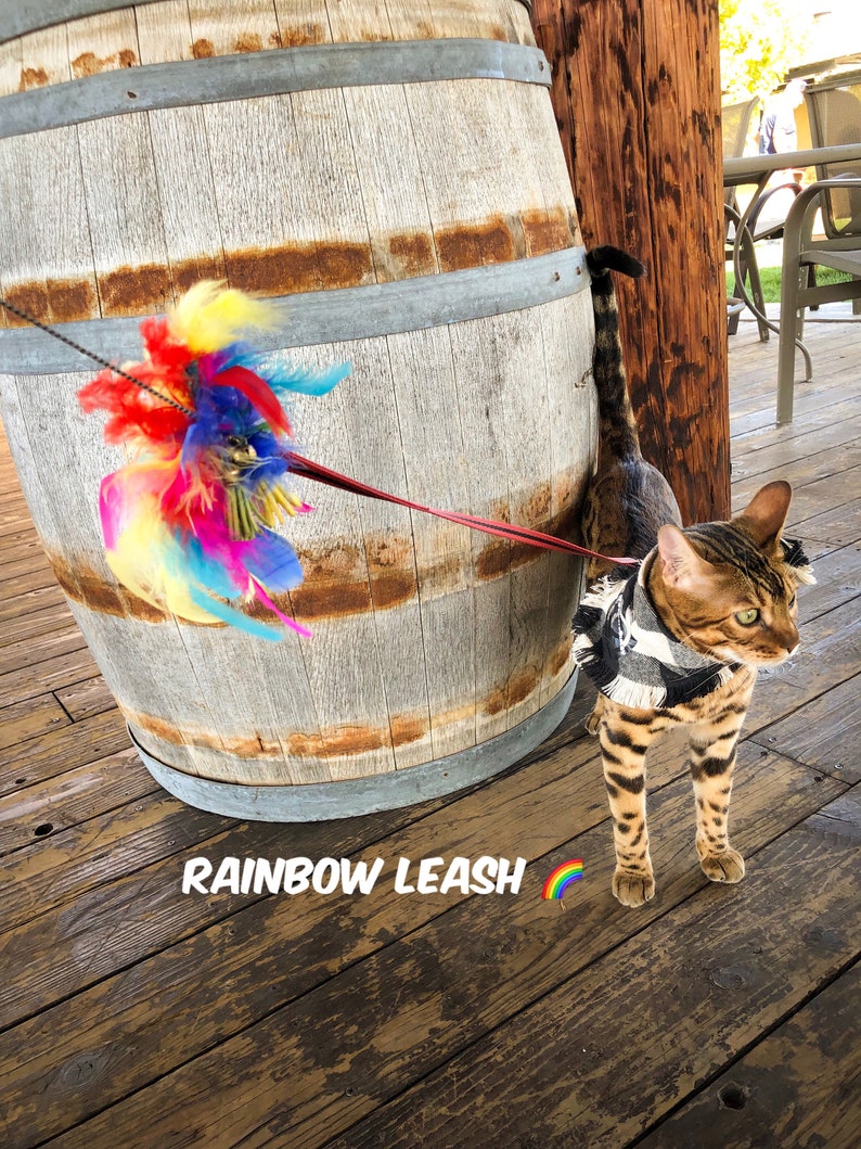 Rainbow Leash Limited Edition