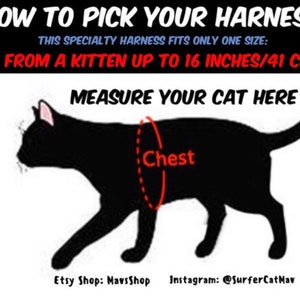 Peut inclure: Une silhouette de chat noir avec un cercle rouge autour de sa poitrine, &eacute;tiquet&eacute; "Chest". L'image montre comment mesurer un chat pour un harnais, avec du texte qui dit "How to Pick Your Harness", "This specialty harness fits only one size: From a kitten up to 16 inches/41 cm", "Measure Your Cat Here", "Etsy Shop: MavsShop", et "Instagram: @SurferCatMav".