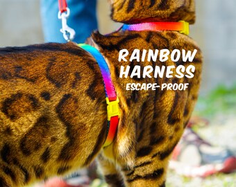 Surfer cat harness Outlet