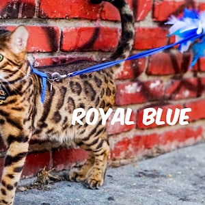 Harness Escape Proof Royal Blue