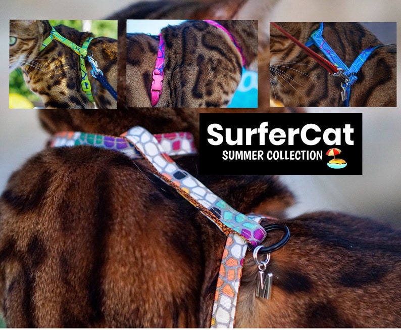 Peut inclure: Un chat portant un harnais &agrave; motifs color&eacute;s avec un anneau noir et une &eacute;tiquette argent&eacute;e avec la lettre "M". Le harnais fait partie de la collection d'&eacute;t&eacute; SurferCat.