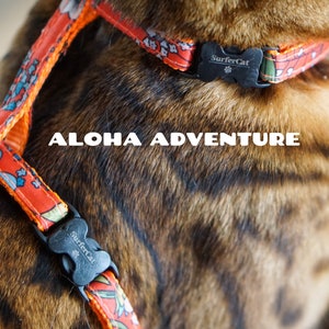 Escape Proof Cat Harness SUMMERTIME Collection