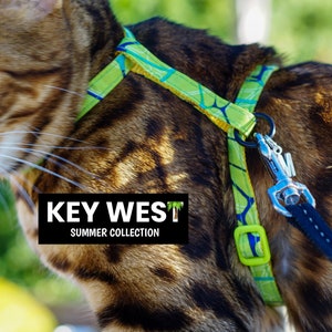 Peut inclure: Un harnais pour chat &agrave; motif vert et bleu avec un mousqueton argent&eacute; et une laisse noire. Le harnais porte l'inscription "KEY WEST SUMMER COLLECTION".