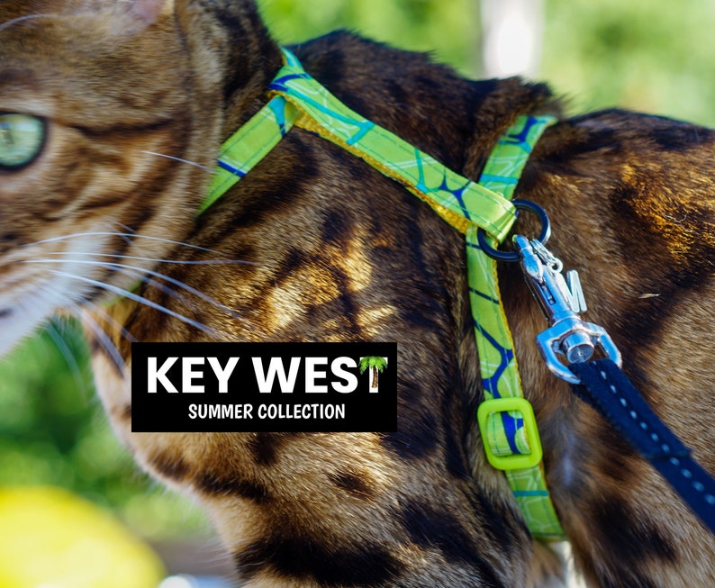 Peut inclure: Un harnais pour chat &agrave; motif vert et bleu avec un mousqueton argent&eacute; et une laisse noire. Le harnais porte l'inscription "KEY WEST SUMMER COLLECTION".