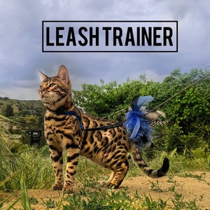 Leash Trainer for Cats & Kittens