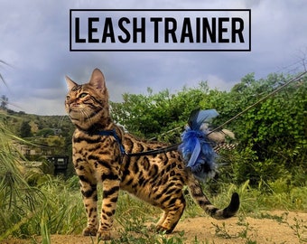 Leash Trainer for Cats & Kittens