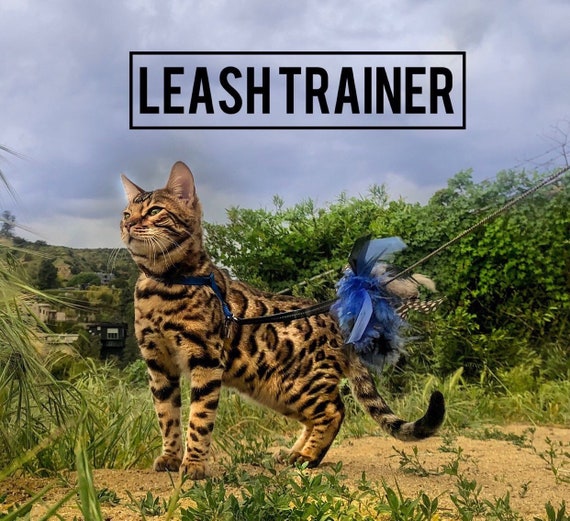 Leash Trainer for Cats & Kittens 
