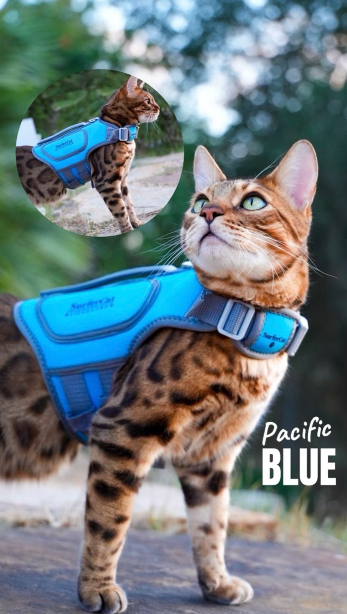 Kitten life jacket sale