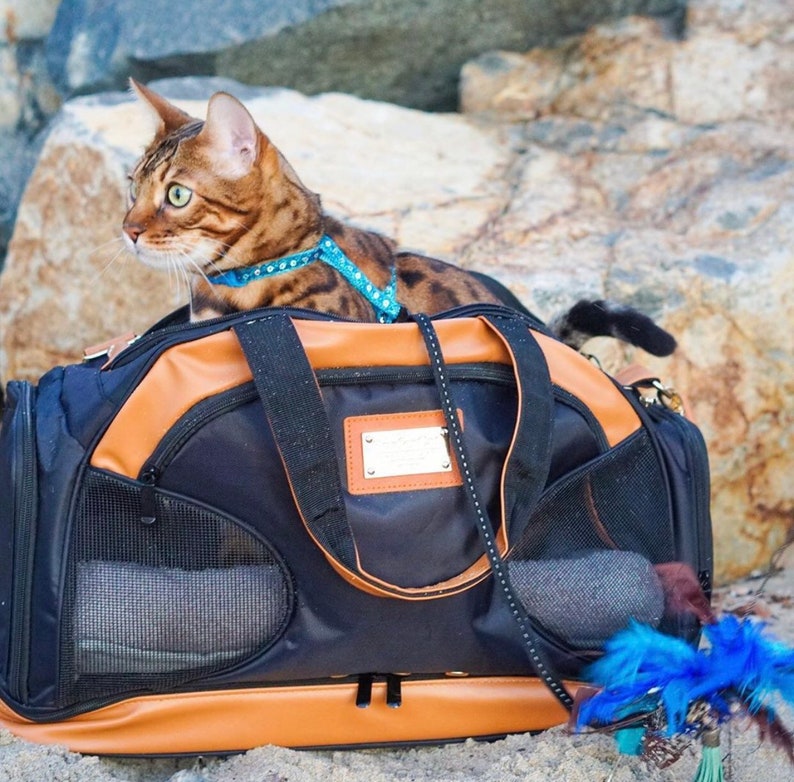 Trainingstasche mit Katzentoilette für Abenteuer Bild 5