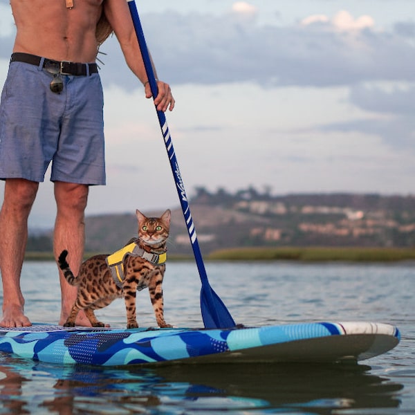 SurferCat Life Jackets