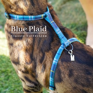 May include: A blue plaid dog harness with a silver charm that says "M". The harness is on a brown and black spotted dog.