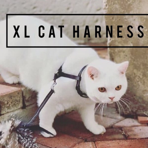 XL Cat Harness(Escape Proof)