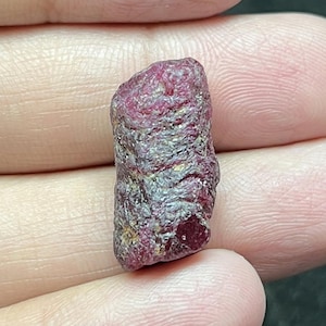 May include: A rough, uncut ruby gemstone. The ruby is a deep red color with a slightly textured surface. The gemstone is held in a hand, showing its natural, irregular shape. The ruby appears to be a raw, natural mineral specimen.