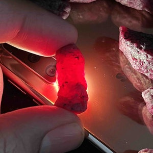 May include: A collection of raw, deep red ruby gemstones with irregular, textured surfaces. One ruby is held up to a light source, causing it to glow with a vibrant, translucent crimson hue, while several other similar stones rest on a reflective surface.