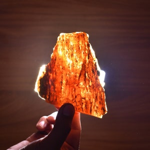 Giant Natural Amber Rough 660CT | Healing Insect Amber | Best Quality Amber | Loose Amber For Jewelry Design, Carving Craft & Collection