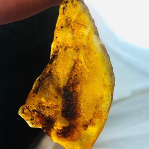 100% Natural Amber Rough 35.10Ct – Poland Yellow Fossil Gemstone with Insect | Brings Calm, Good Fortune & Perfect for Jewelry Making