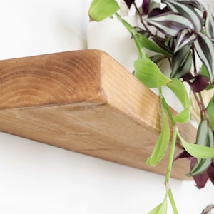 K&ouml;nnte beinhalten: Ein dreieckiges Holzregal, das in einer hellbraunen Farbe gebeizt ist. Eine h&auml;ngende Pflanze mit gr&uuml;nen und violetten Bl&auml;ttern h&auml;ngt &uuml;ber dem Regal.