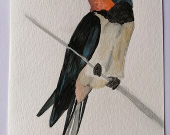 Hirondelle aquarelle