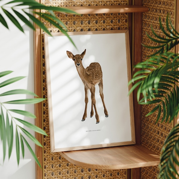 Red Deer, Animal Artwork, Nature Illustration, Fine Art, Charity Print, British Wildlife Gift, Conservation Art, Sustainable gift