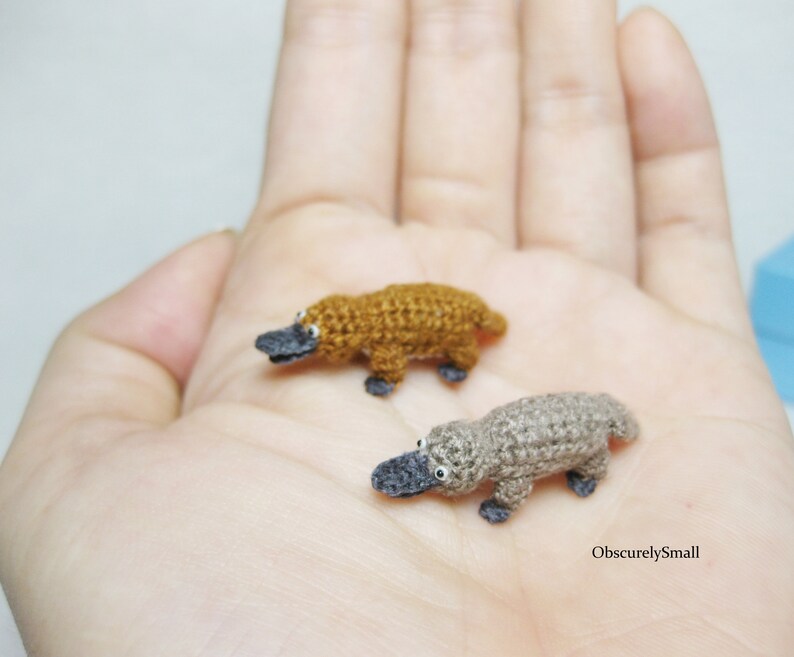 Tiny Crochet Platypus  Miniature Amigurumi Platypus  Made to image 2